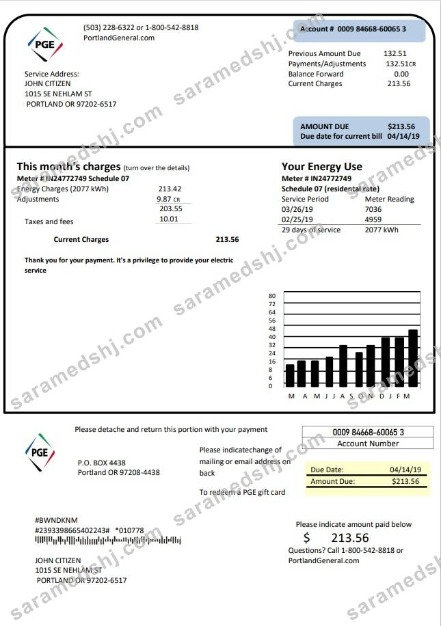 USA Oregon PGE electricity utility bill template in Word and PDF format